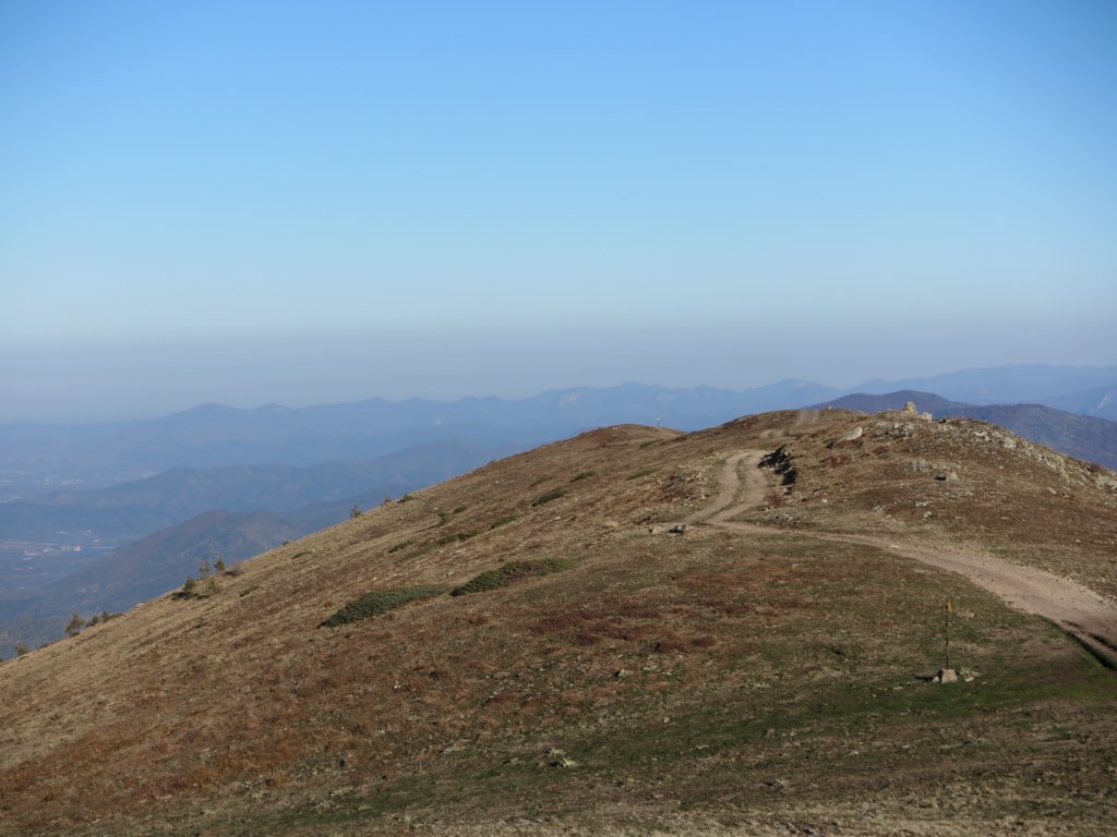 photo15.jpg