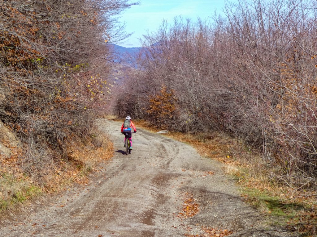 photo13.jpg