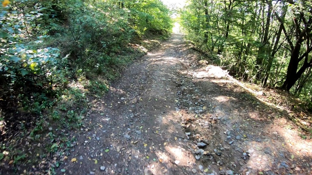 photo11.jpg