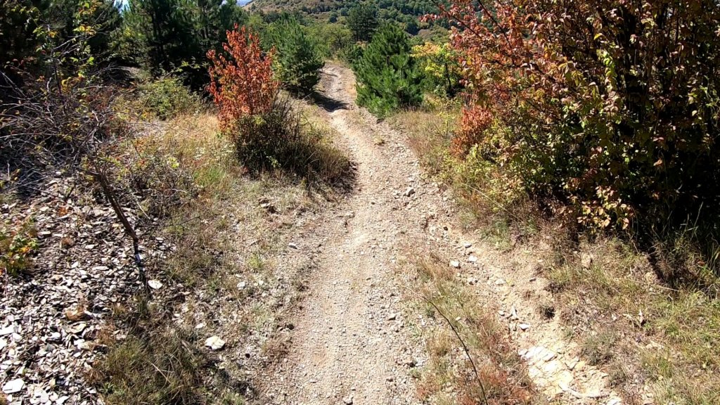 photo21.jpg