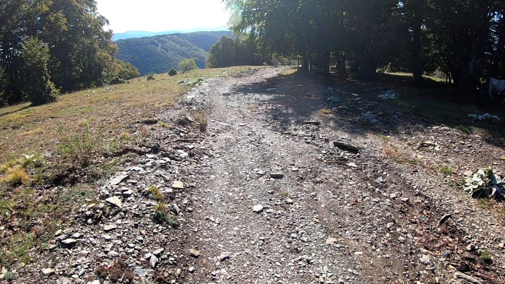photo8.jpg