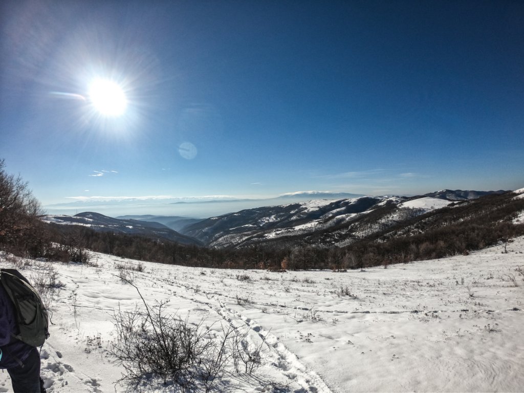 photo11.jpg