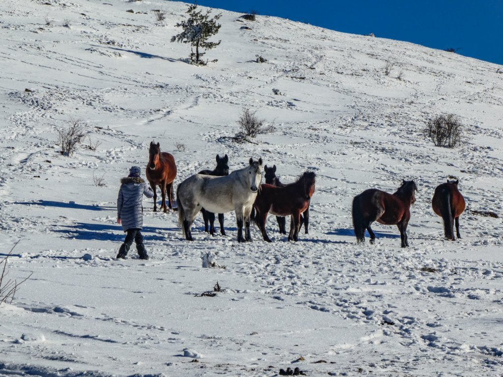 photo33.jpg