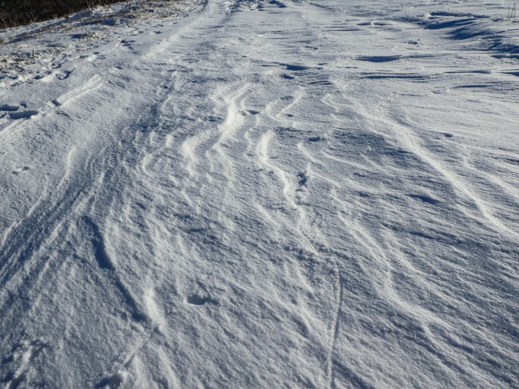photo40.jpg
