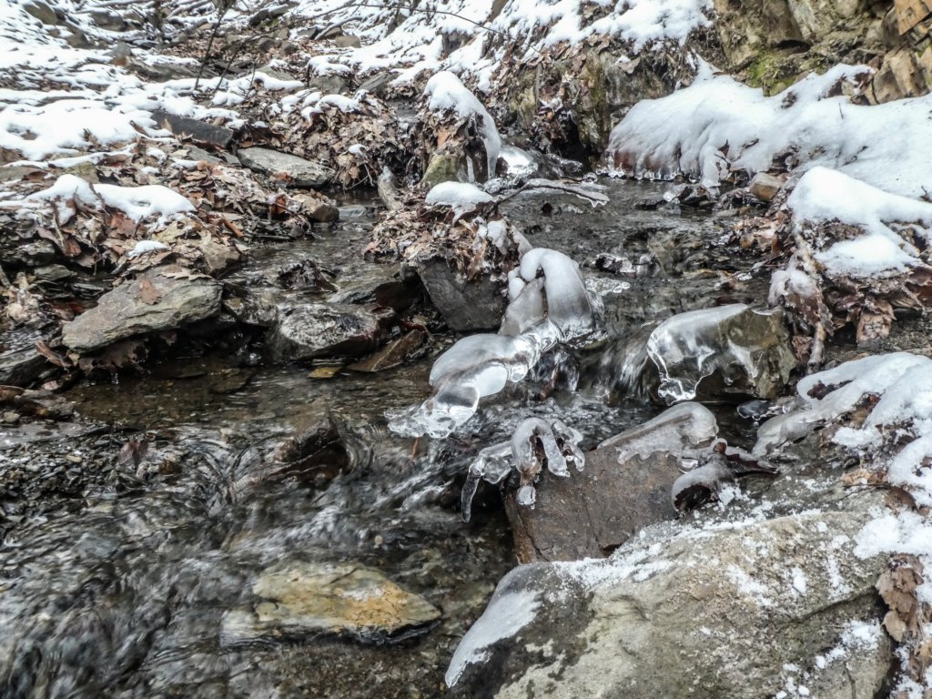 photo5.jpg