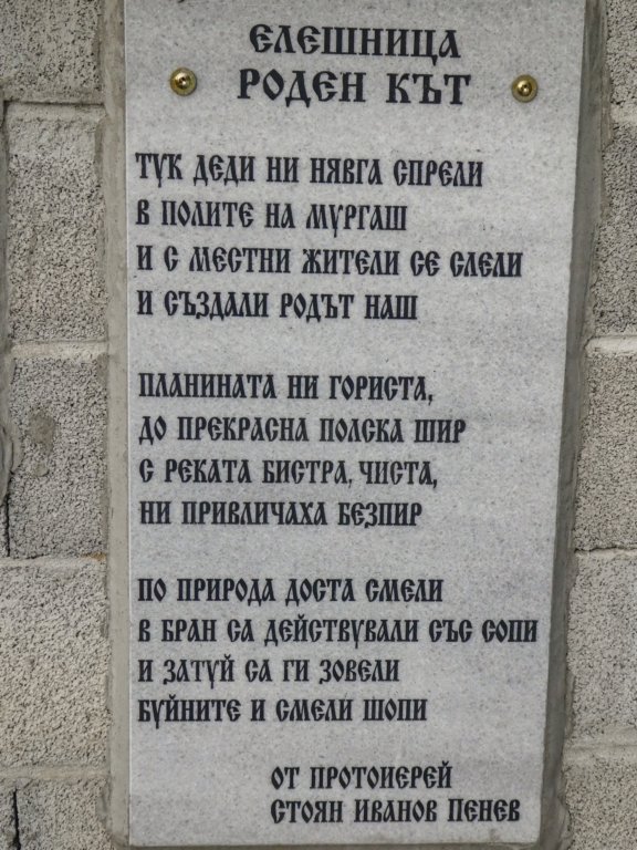 photo50.jpg