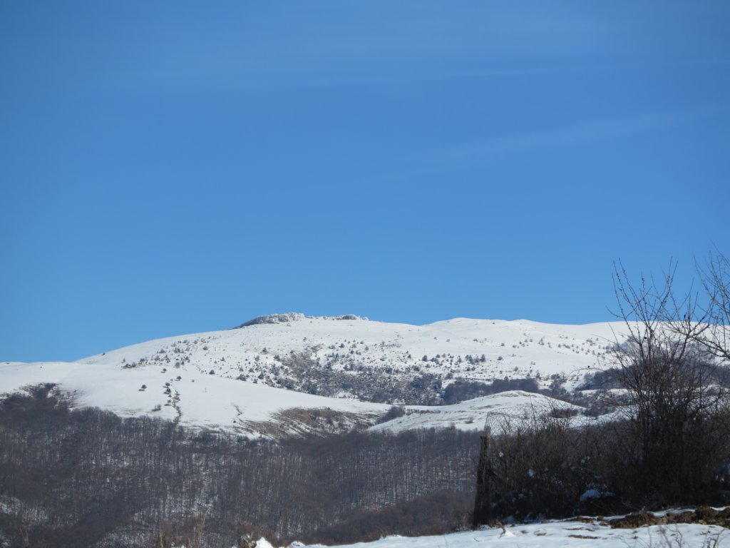 photo2.jpg
