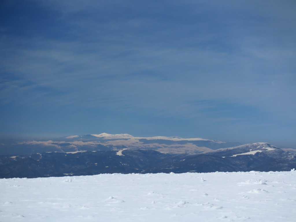 photo26.jpg