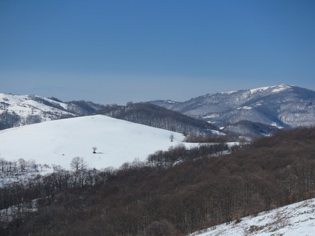 photo4.jpg
