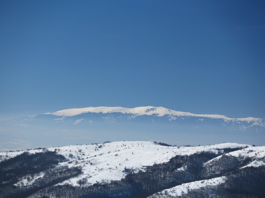 photo5.jpg