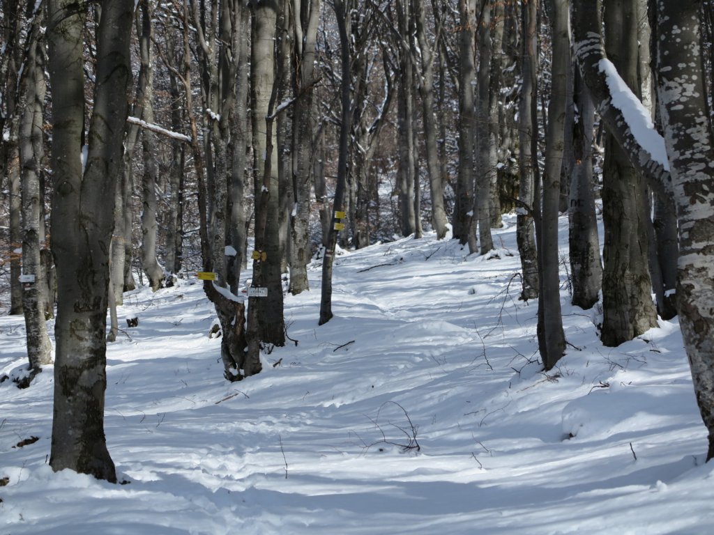 photo9.jpg