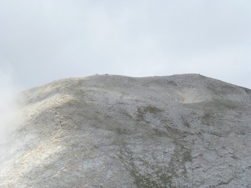 photo175.jpg