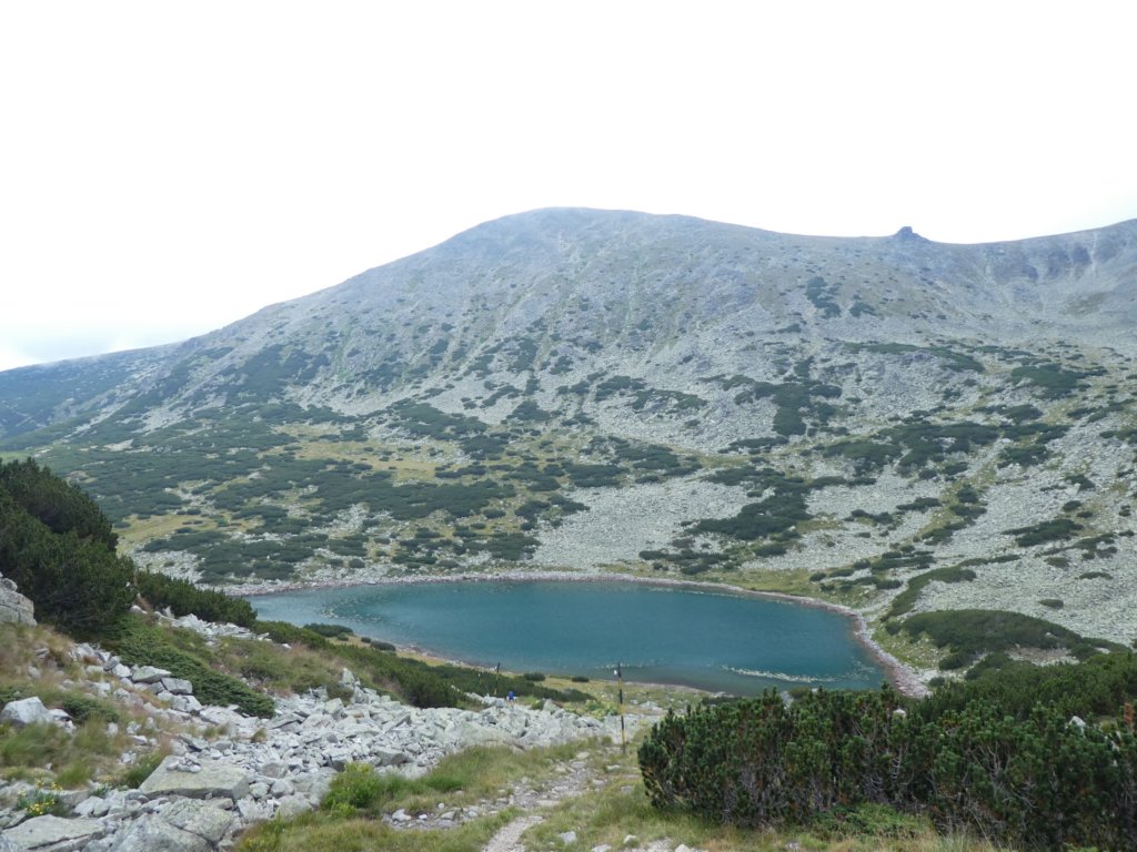 photo31.jpg