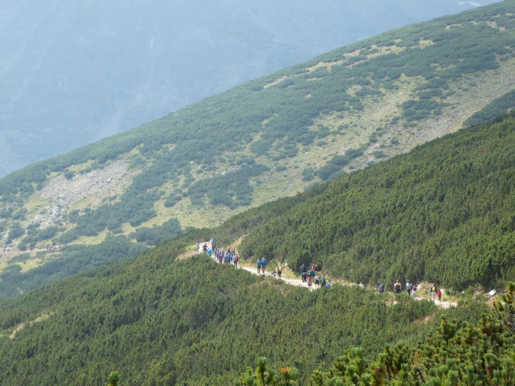 photo9.jpg