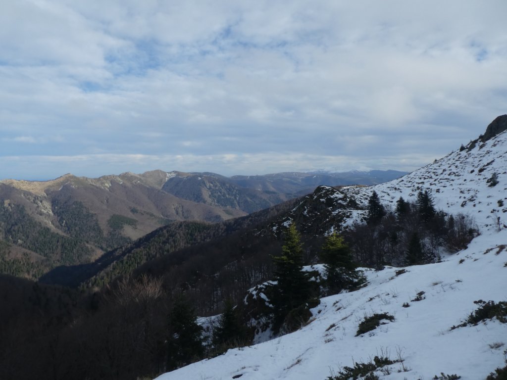 photo37.jpg