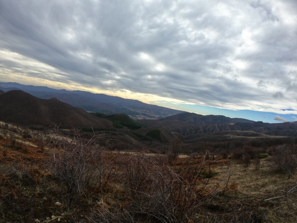 photo4.jpg