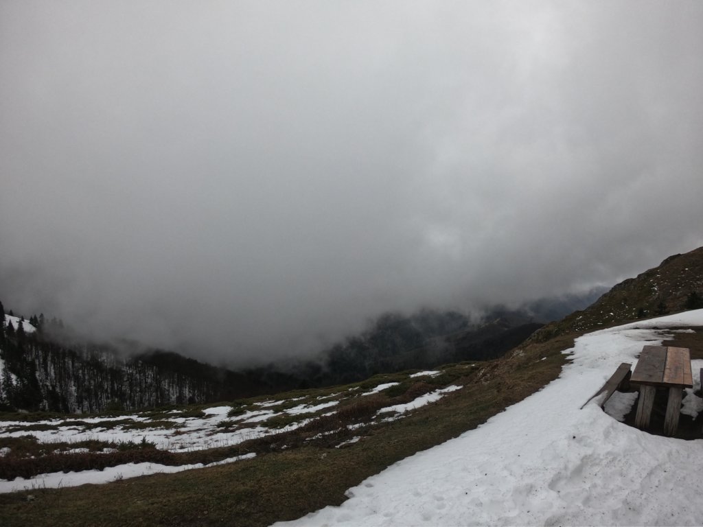 photo81.jpg