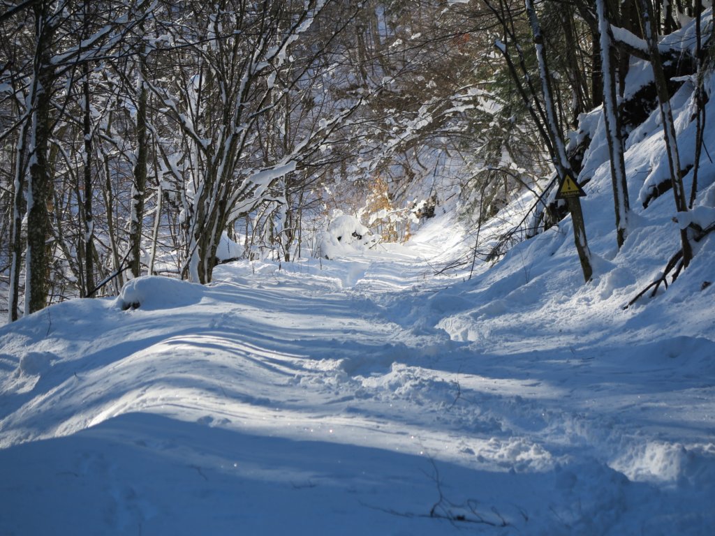 photo11.jpg