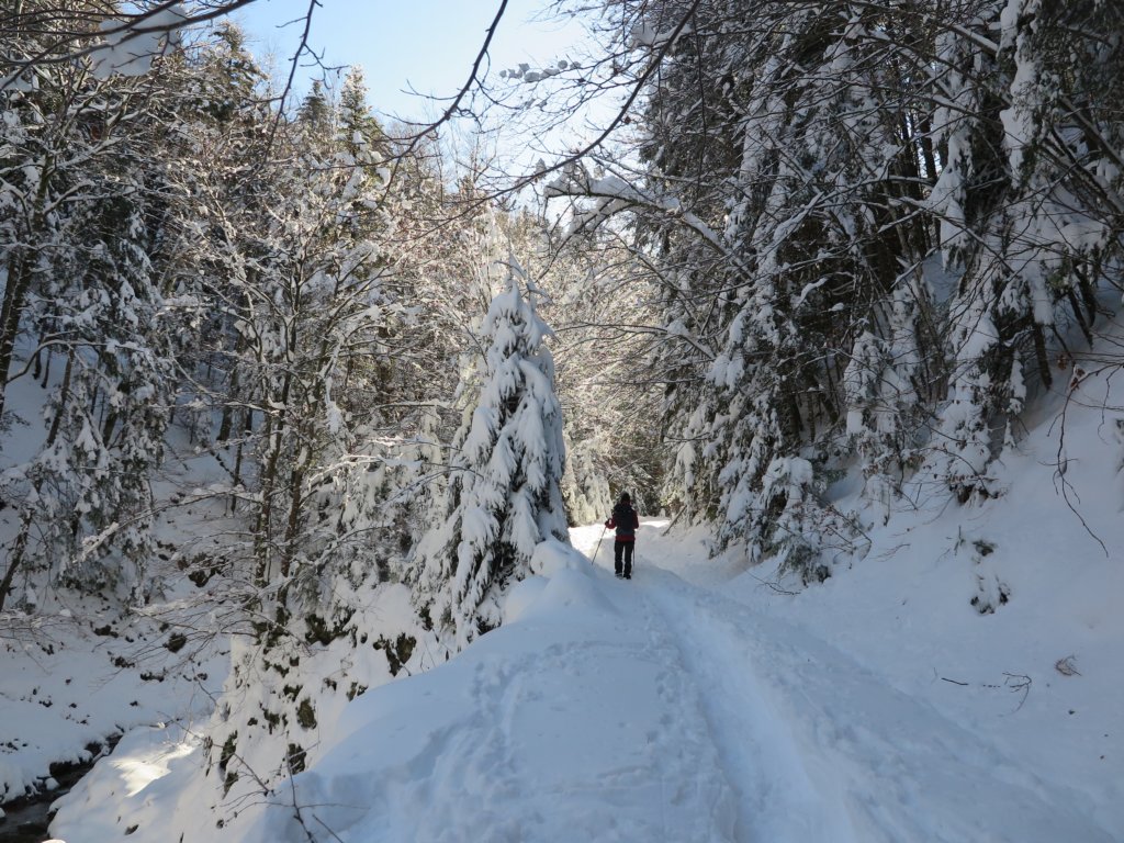 photo17.jpg