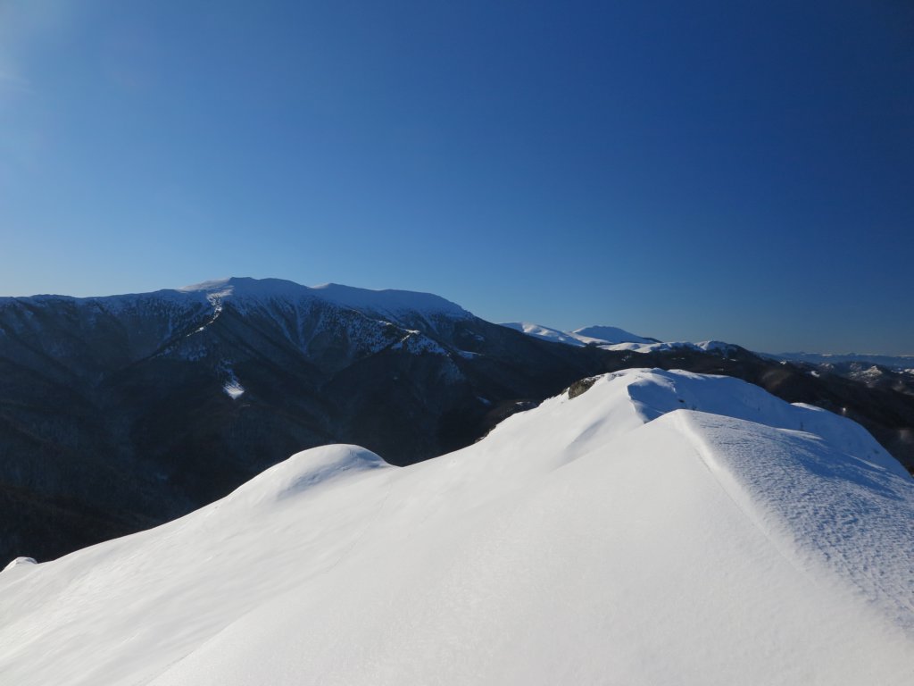 photo43.jpg