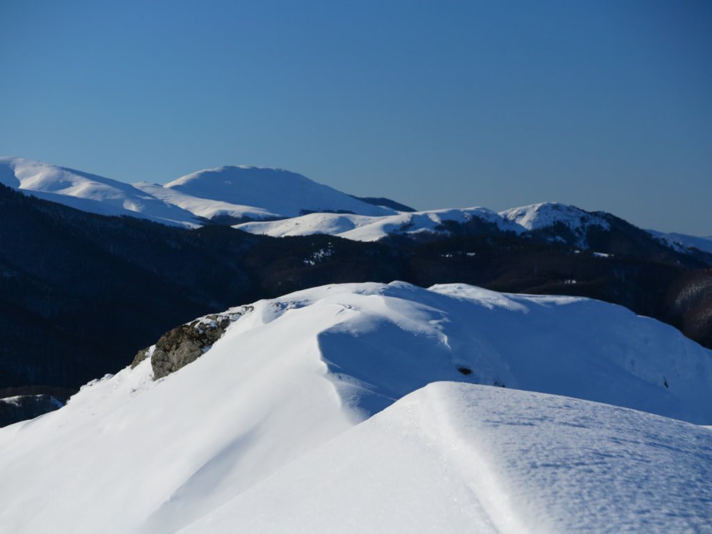 photo44.jpg