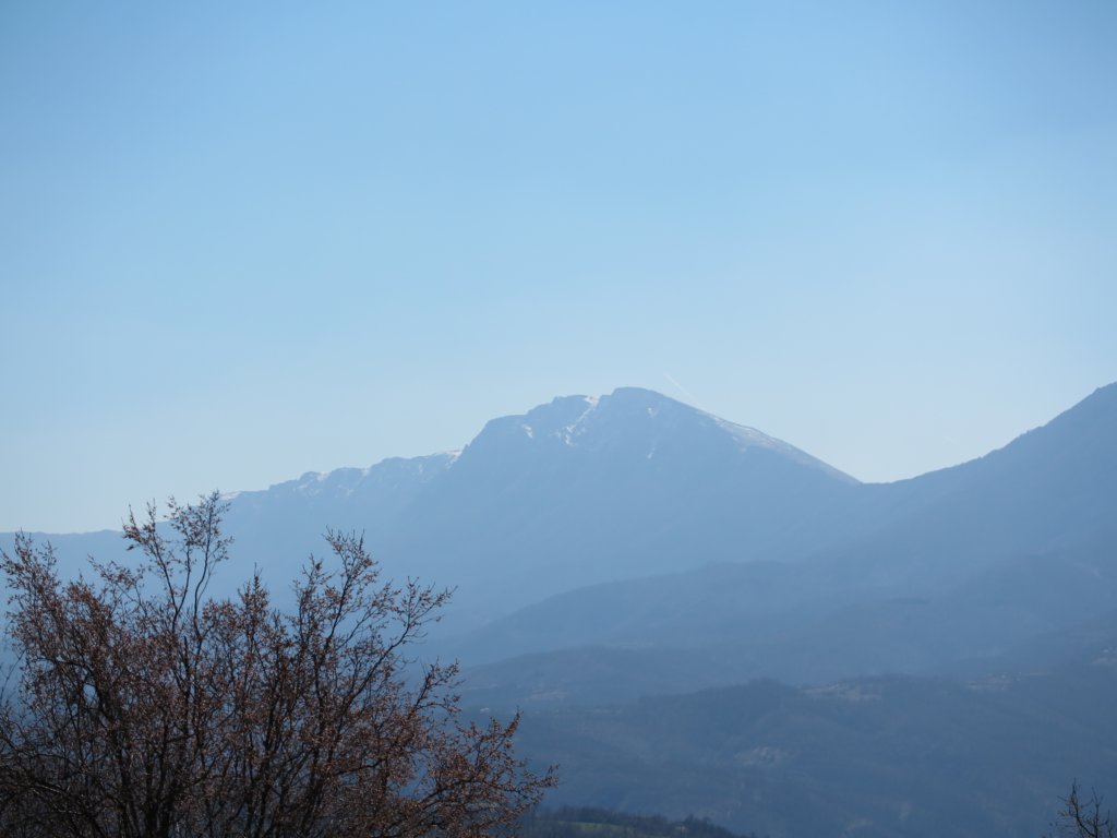 photo24.jpg