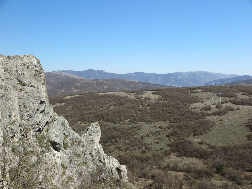 photo26.jpg