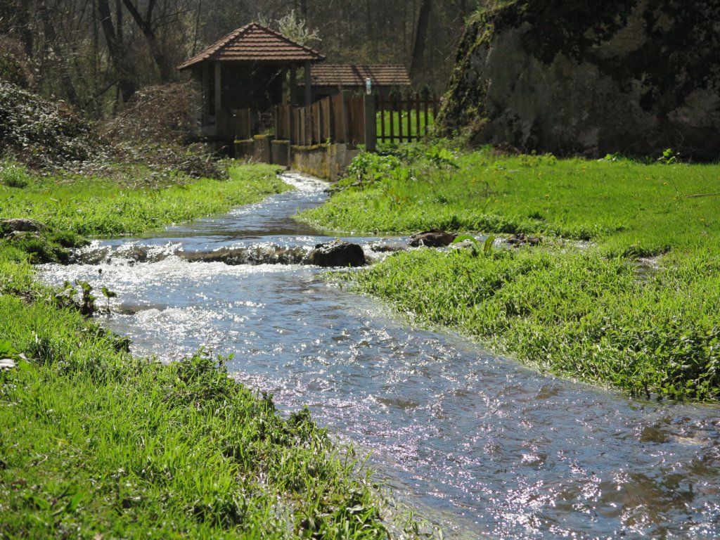 photo3.jpg