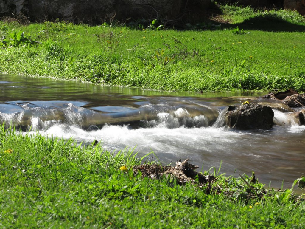 photo4.jpg