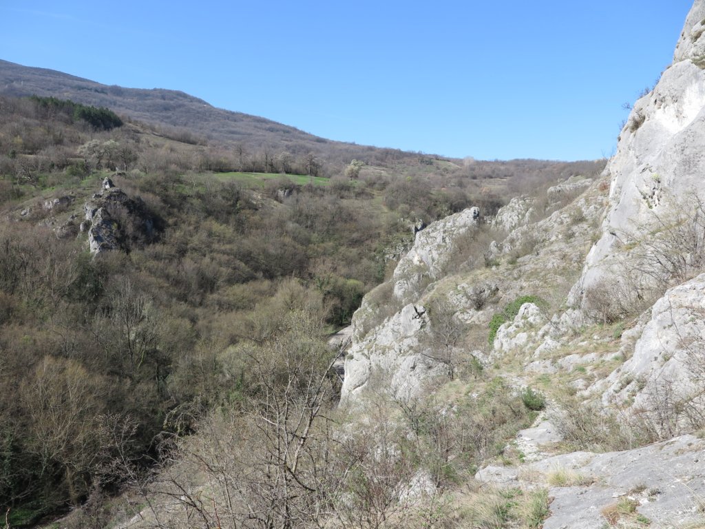 photo8.jpg