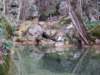 photo15_small.jpg