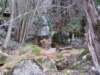 photo16_small.jpg