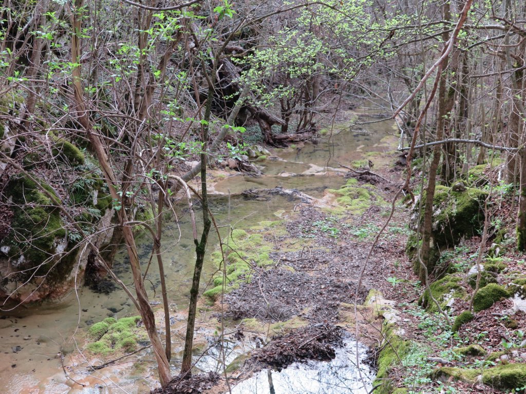 photo17.jpg