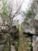 photo35_small.jpg