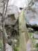 photo39_small.jpg