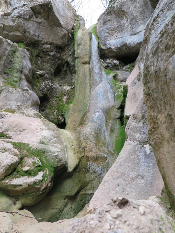 photo42.jpg
