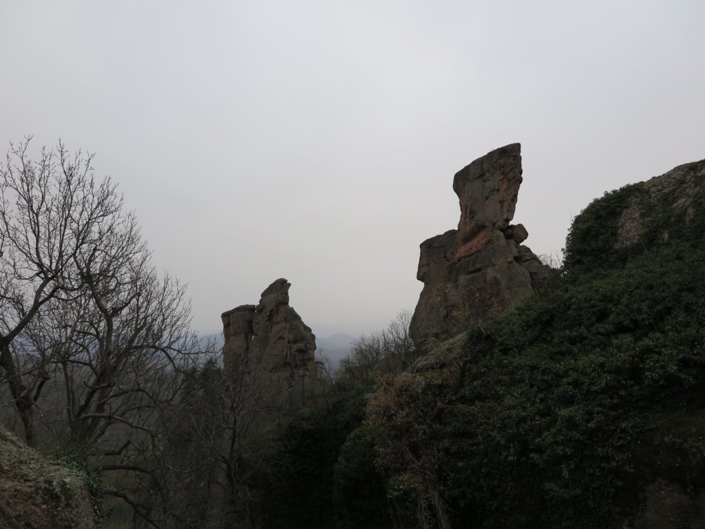 photo56.jpg