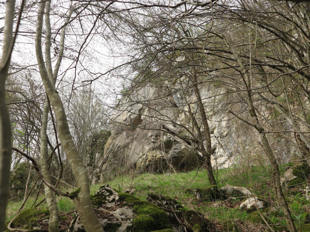 photo9.jpg