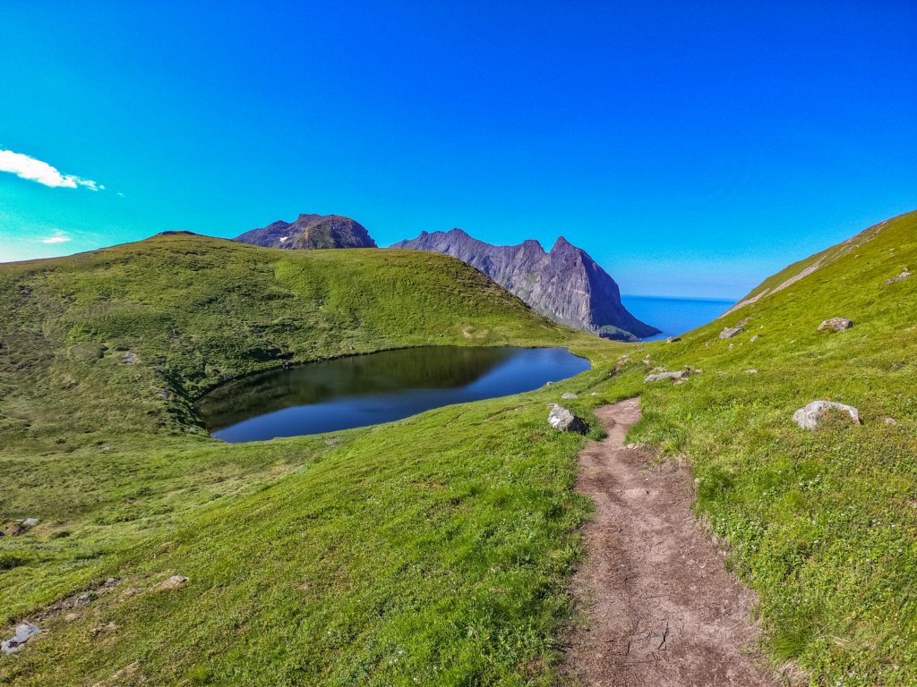photo8.jpg