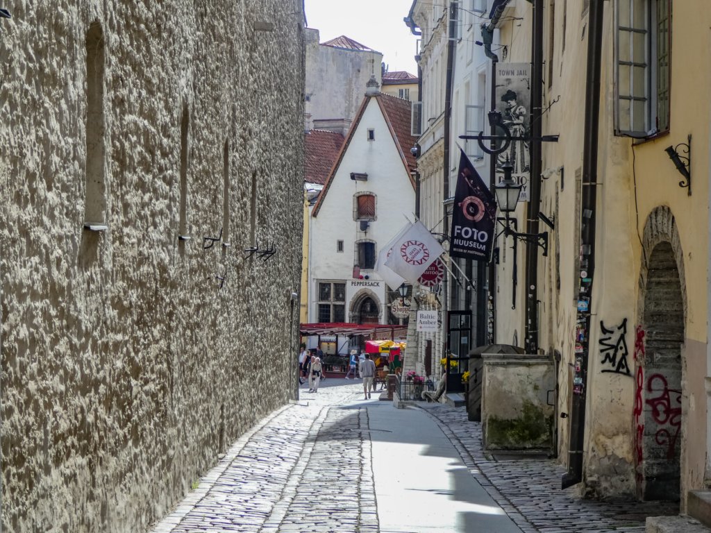 photo20.jpg