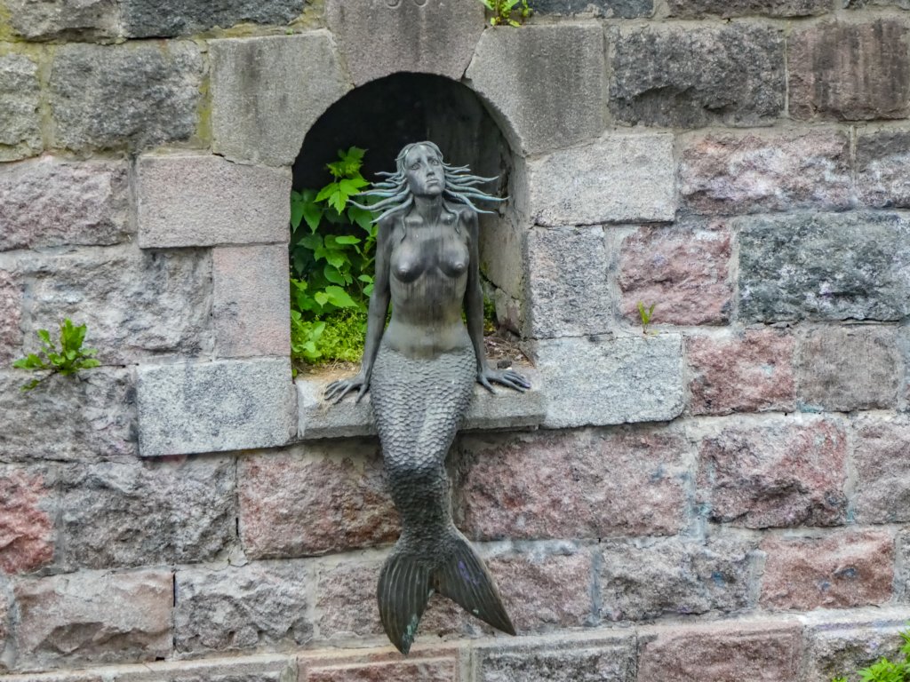 photo8.jpg