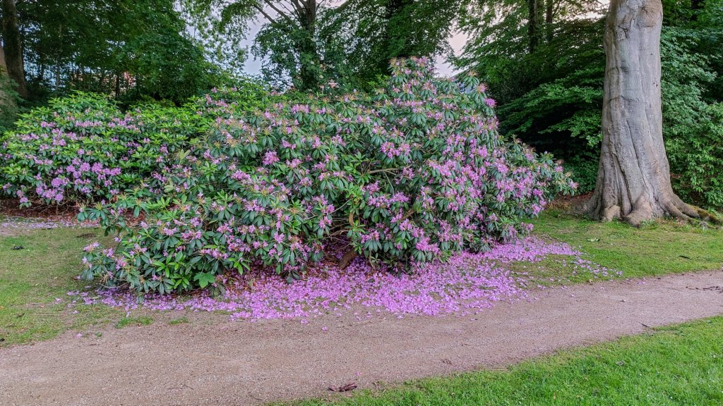 photo43.jpg