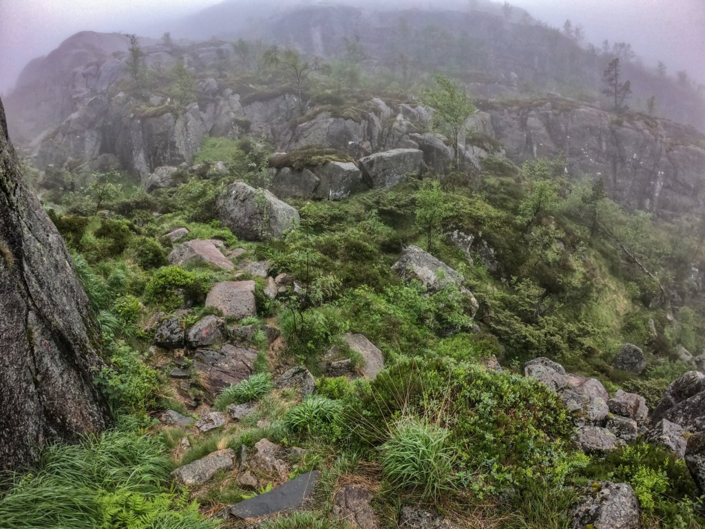 photo.jpg
