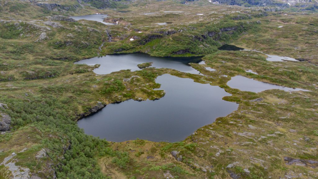 photo13.jpg