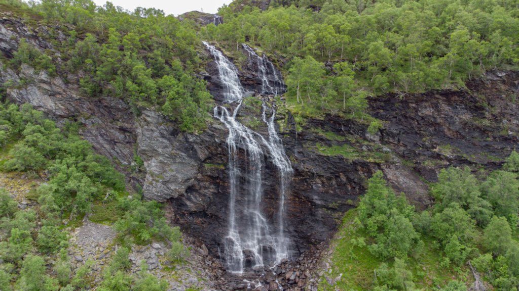 photo19.jpg