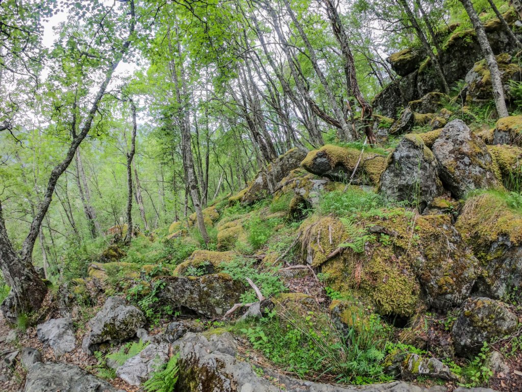 photo5.jpg