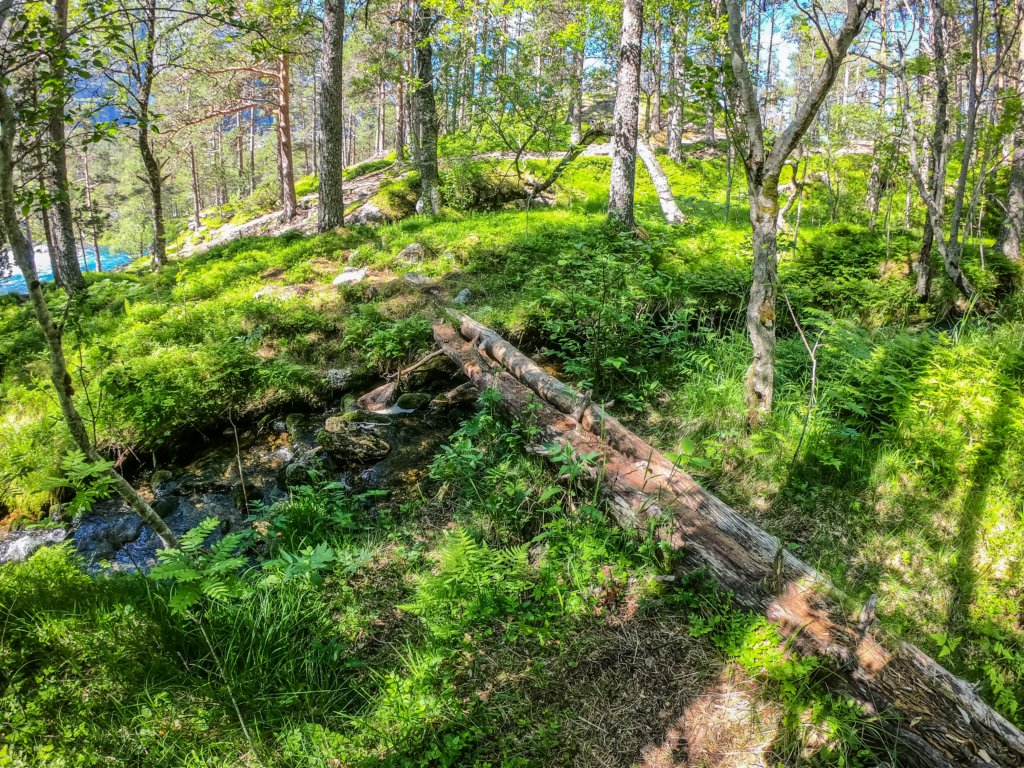 husedalen7.jpg