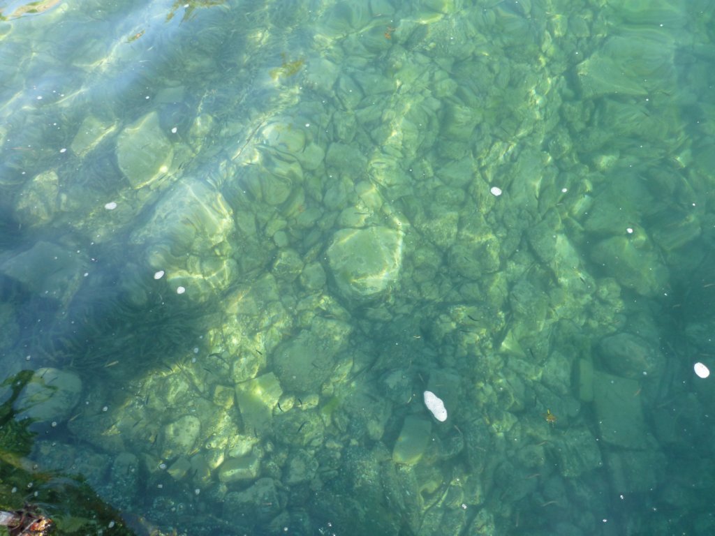 photo10.jpg
