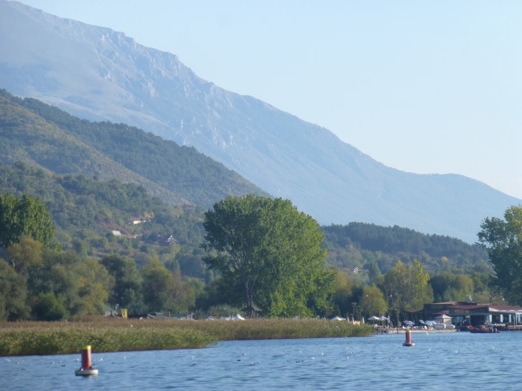 photo15.jpg