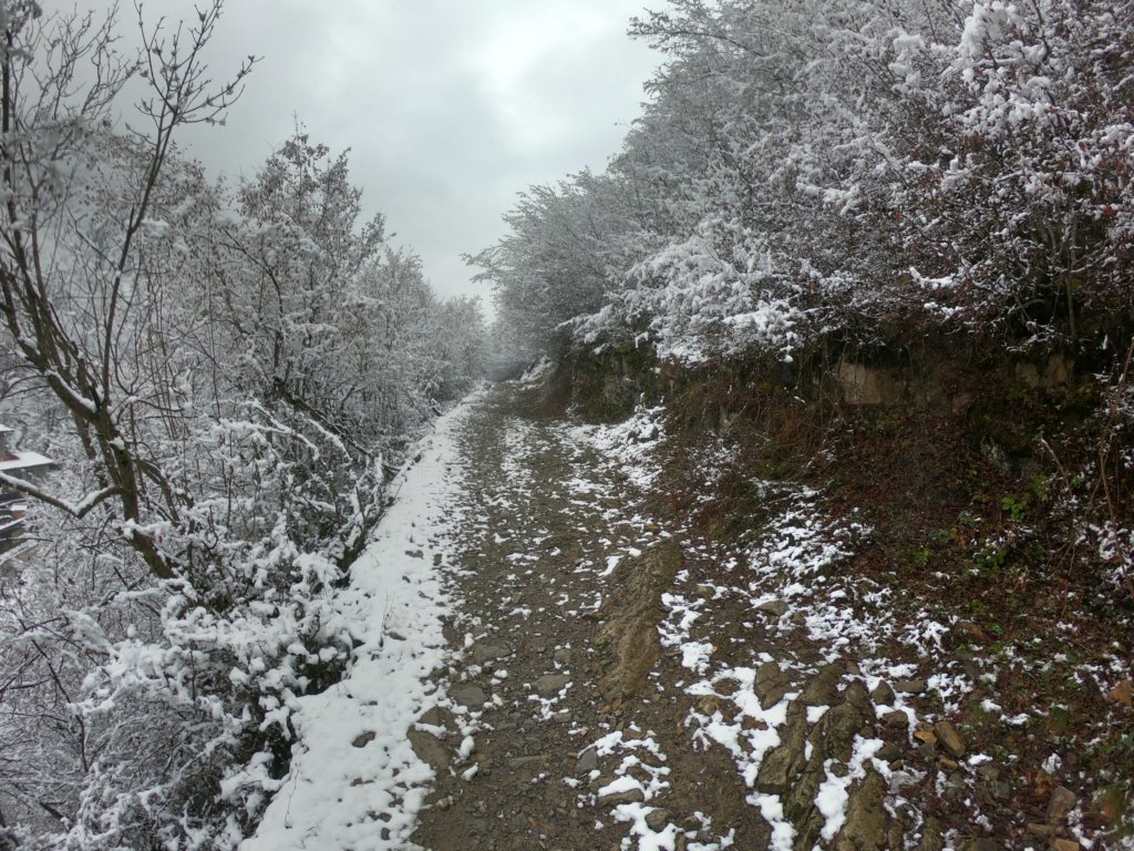 photo2.jpg
